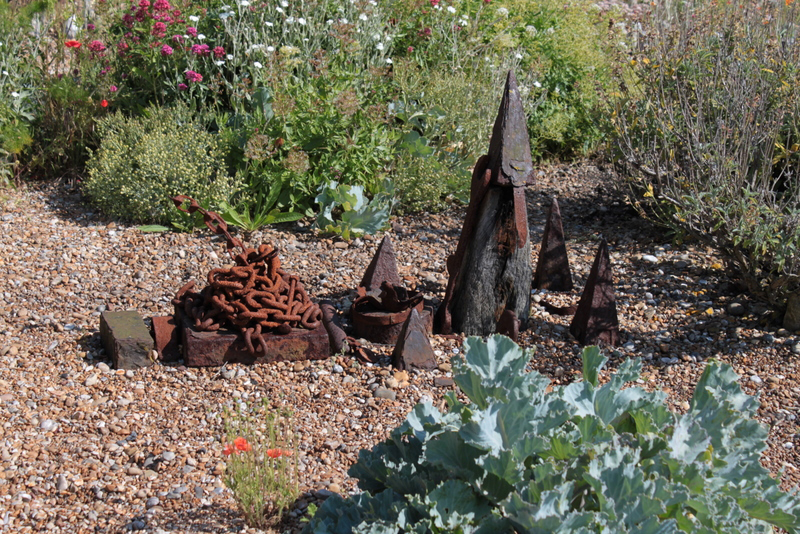 A woodcut illustration of seakale in John Parkinson's Theatrum Botanicum, 1640